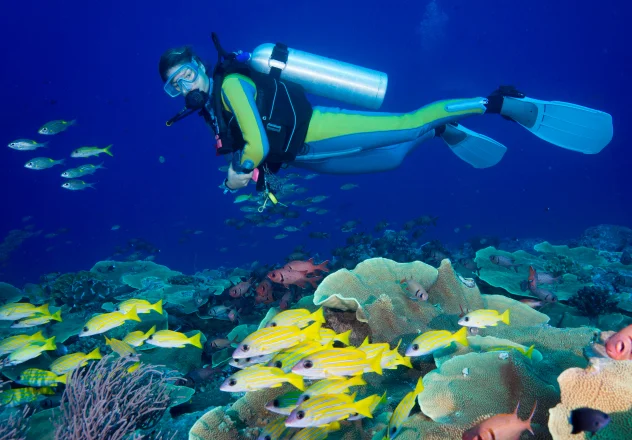 Scuba Diving and Snorkeling